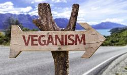 Wereld veganismedag Veganisme gezond of riskant?