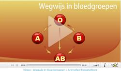 Video : Wegwijs in bloedgroepen