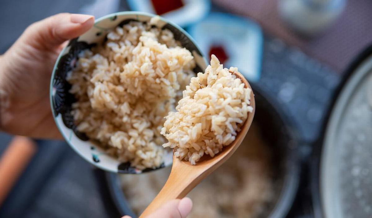 Healthy Rice: Types, Nutrition, and Recommendations – Everything You Need to Know